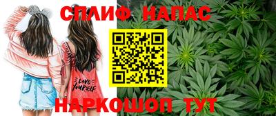 spice Сланцы