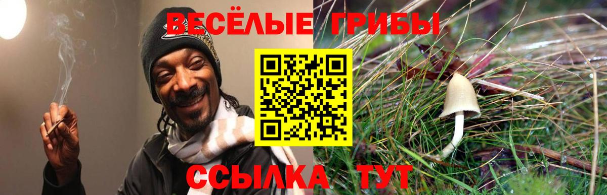 Нижнекамск  Псилоцибиновые грибы GOLDEN TEACHER  Галлюциногенные грибы мухоморы  Вход с VPN 