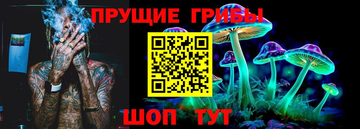 Галлюциногенные грибы Magic Shrooms Нижнекамск
