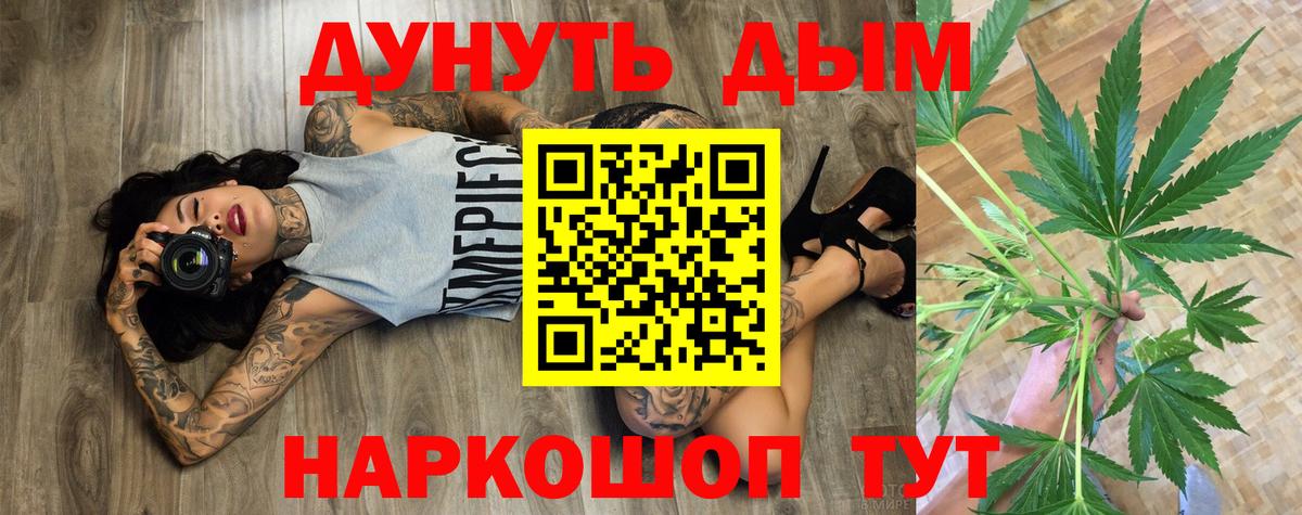 Шишки марихуана марихуана  Канабис гибрид  Вход с VPN  Марихуана планчик  МАРИХУАНА Bruce Banner  Нижнекамск 